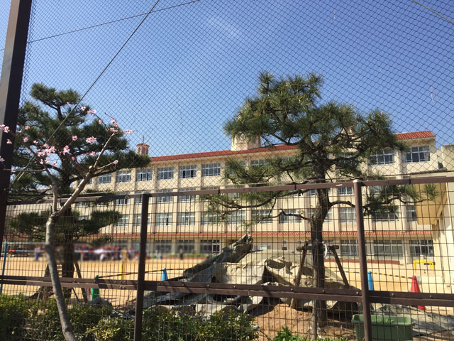 本庄小学校