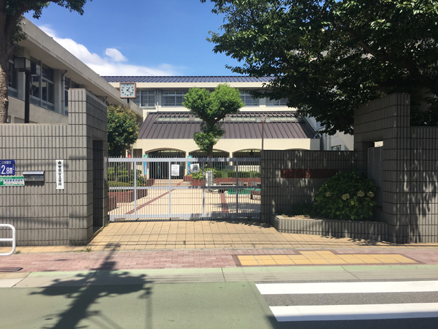 真陽小学校