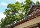 稲名野神社